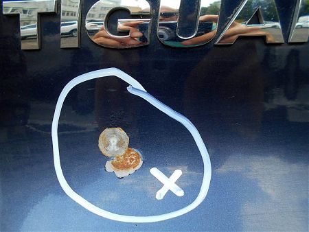Дефект лакокрасочного покрытия на Volkswagen Tiguan
